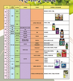 샤인머스켓 재배력