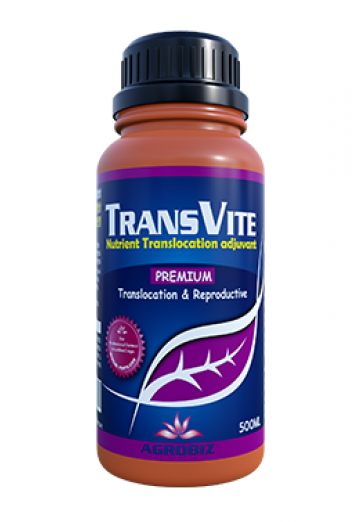 TRANS VITE 500ml