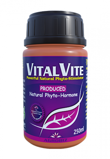 VITAL VITE 250ml
