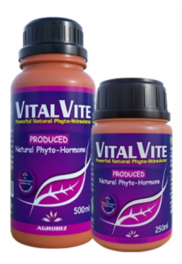 바이탈비트 500ml, 250ml