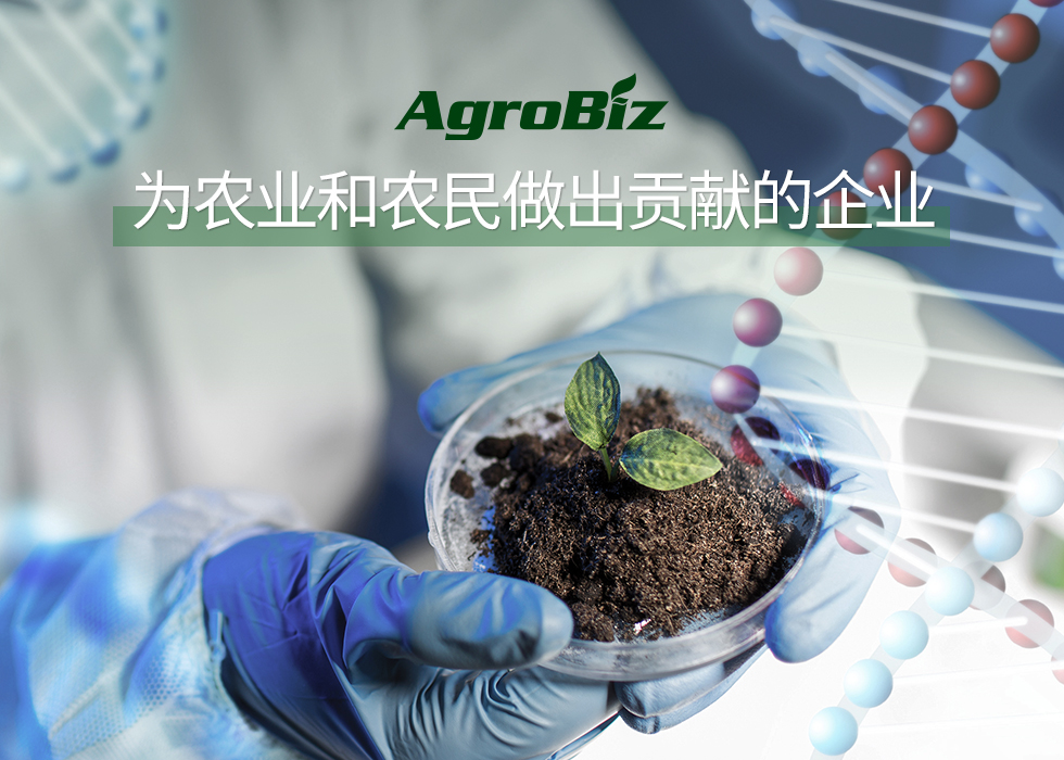 모바일 중문비주얼1