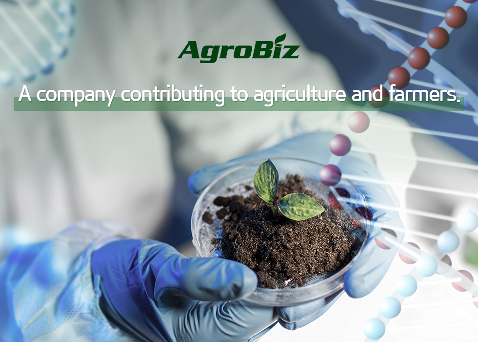 모바일 영문비주얼1